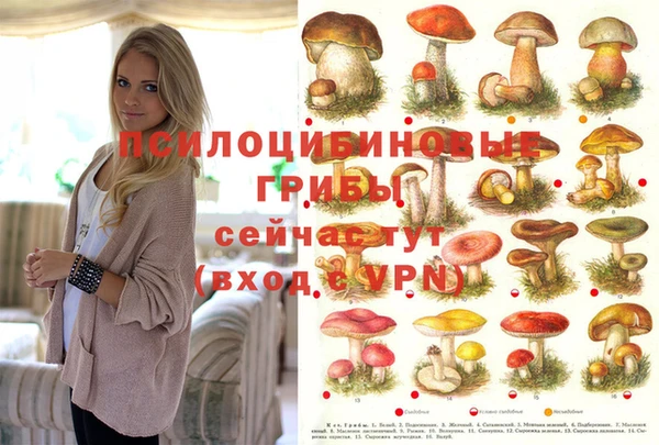 герыч Верхний Тагил