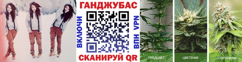 Конопля план  Купить где  Энгельс 